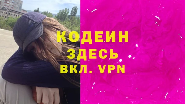 молекула духа Алзамай