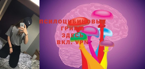 гашик Абинск