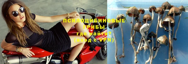 mix Абаза