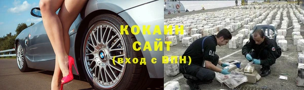 гашик Абинск
