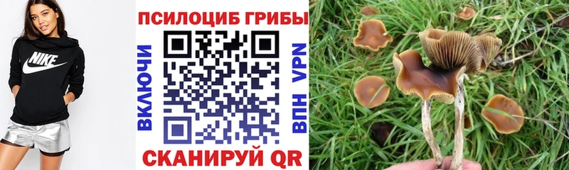 магазин  наркотиков  Усмань  Галлюциногенные грибы GOLDEN TEACHER 